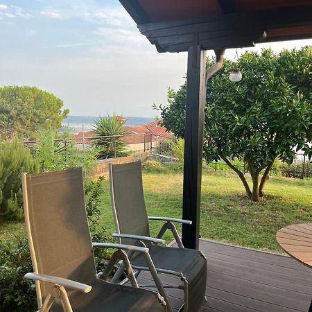 Apartment Orange Tree Πορτορόζ Εξωτερικό φωτογραφία